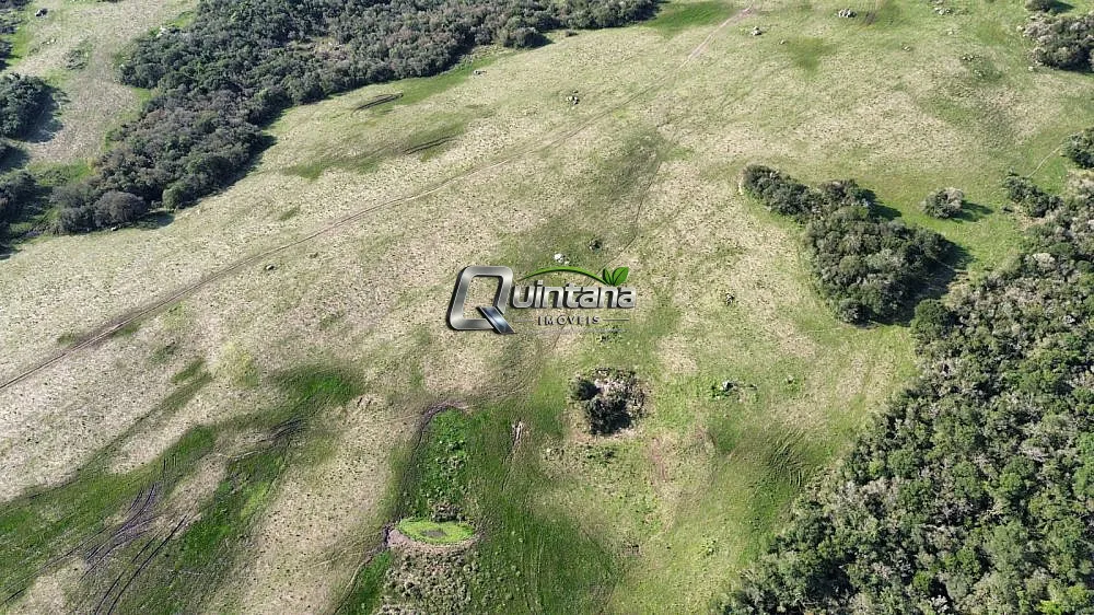 Fazenda, 185 hectares - Foto 7