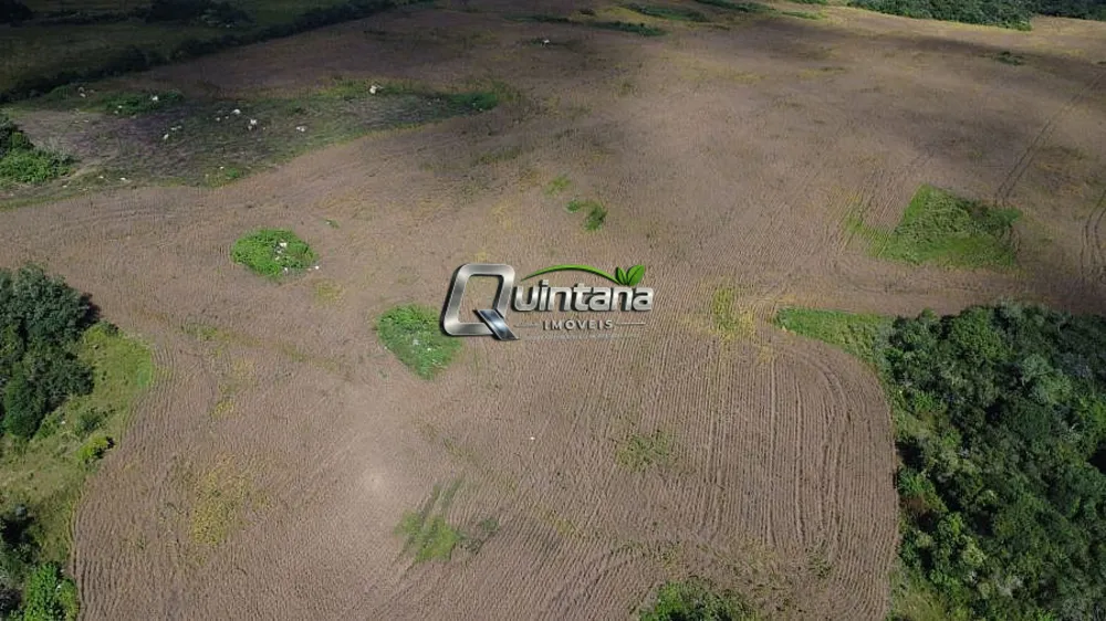 Fazenda, 80 hectares - Foto 6