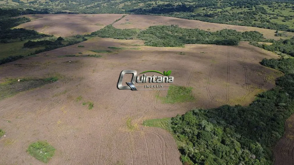 Fazenda, 80 hectares - Foto 7