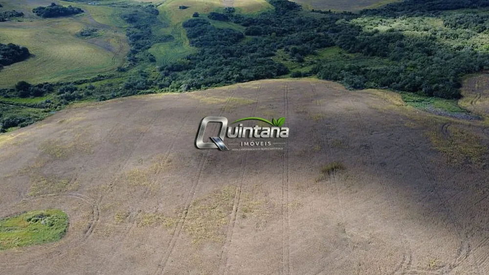 Fazenda, 80 hectares - Foto 4