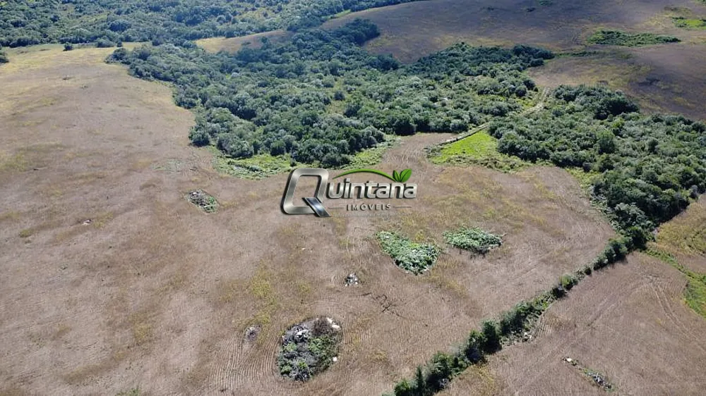 Fazenda, 80 hectares - Foto 1