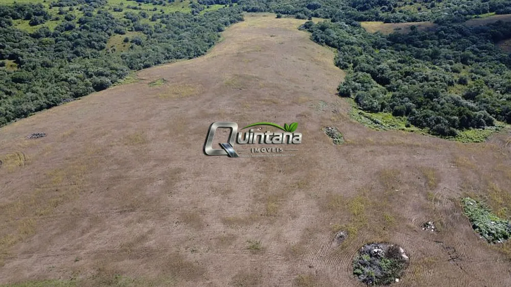 Fazenda, 80 hectares - Foto 2
