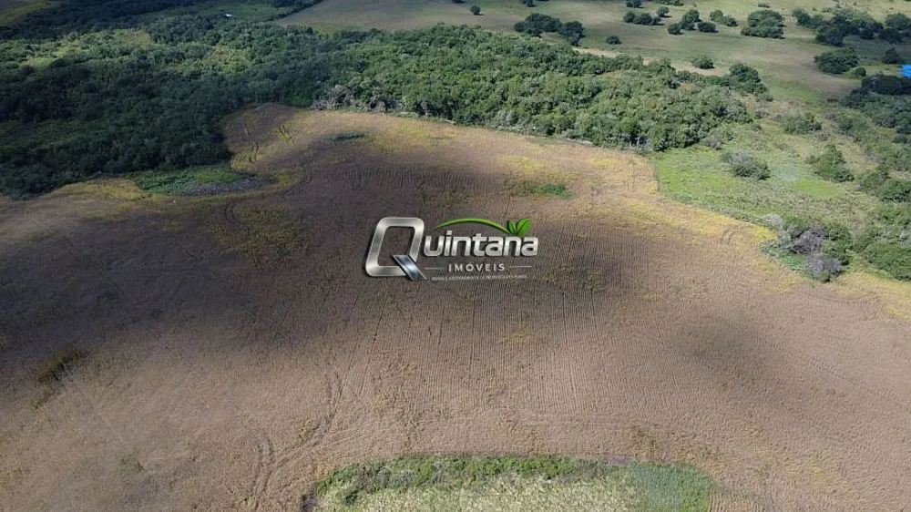 Fazenda, 80 hectares - Foto 3