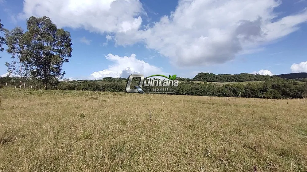 Sítio, 12 hectares - Foto 7