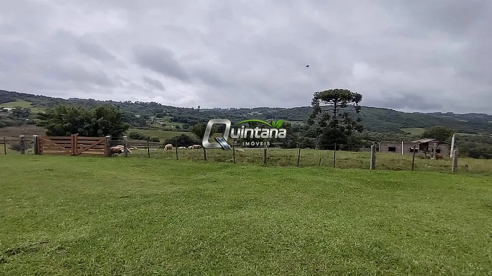 Sítio, 12 hectares - Foto 4