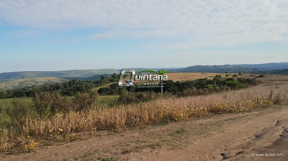 Fazenda, 330 hectares - Foto 3