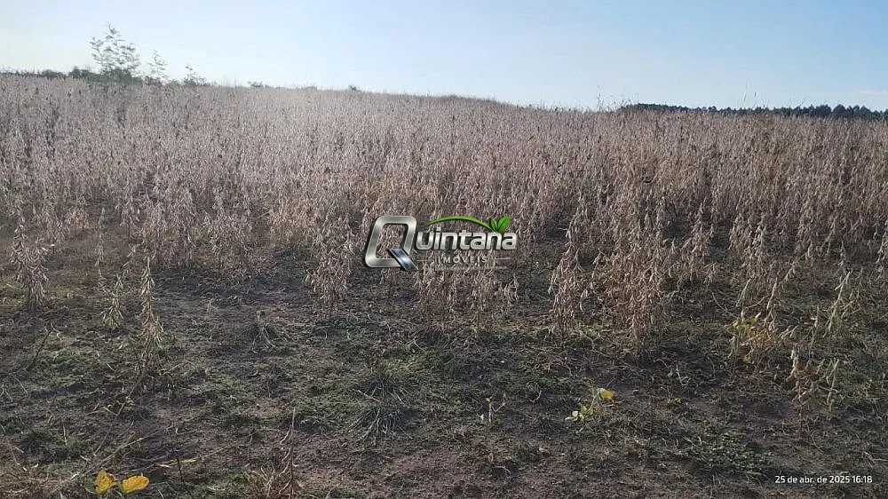 Fazenda, 330 hectares - Foto 2