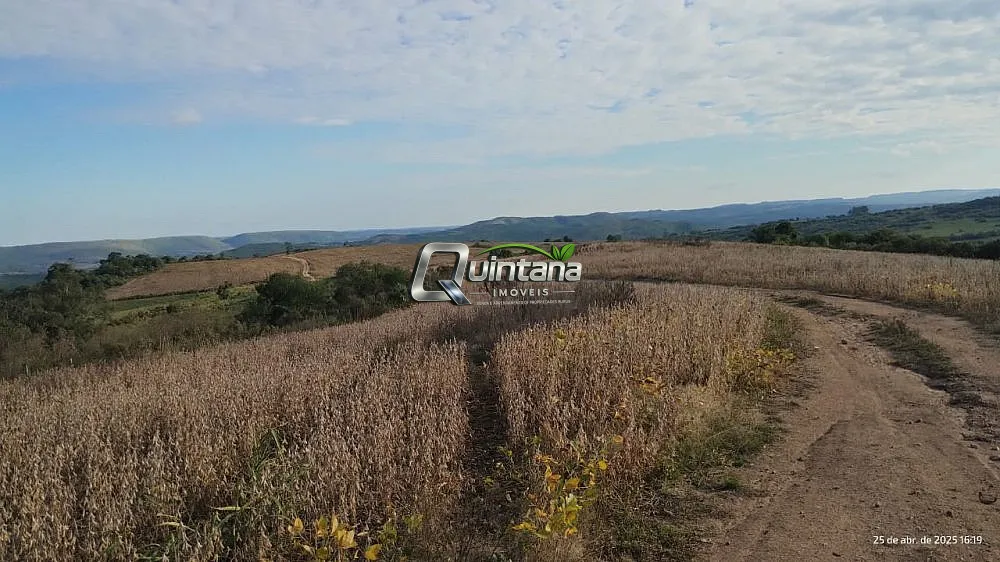 Fazenda, 330 hectares - Foto 4