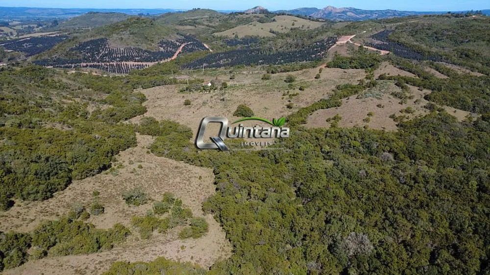 Fazenda, 54 hectares - Foto 3