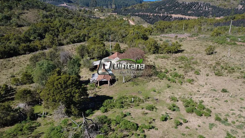 Fazenda, 54 hectares - Foto 1