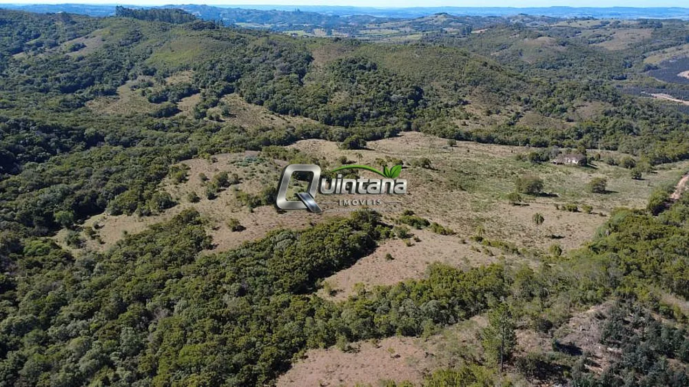 Fazenda, 54 hectares - Foto 2