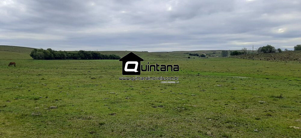 Fazenda, 42 hectares - Foto 1