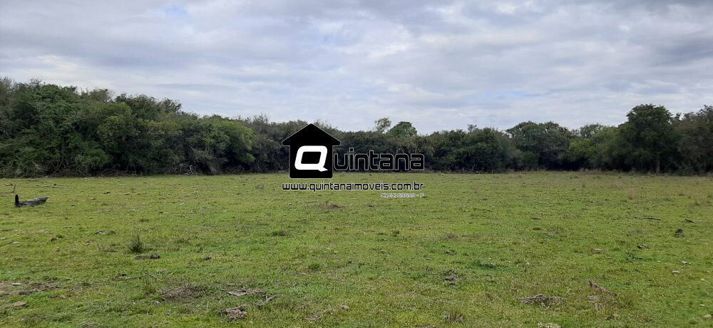 Fazenda, 42 hectares - Foto 3