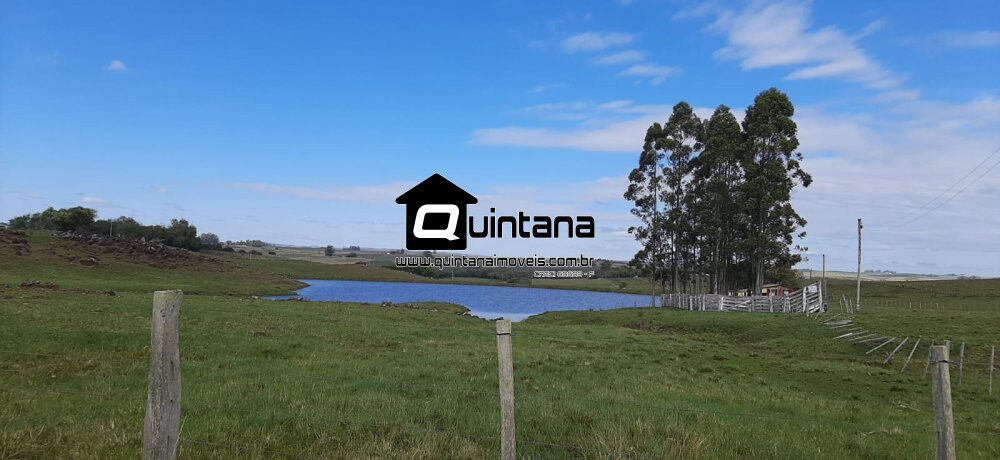 Fazenda, 42 hectares - Foto 2