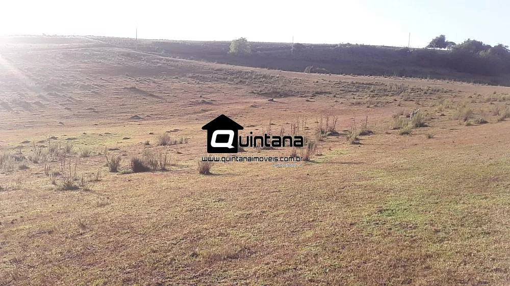 Fazenda, 300 hectares - Foto 1