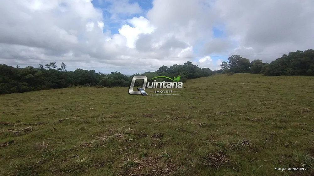 Fazenda, 21 hectares - Foto 3