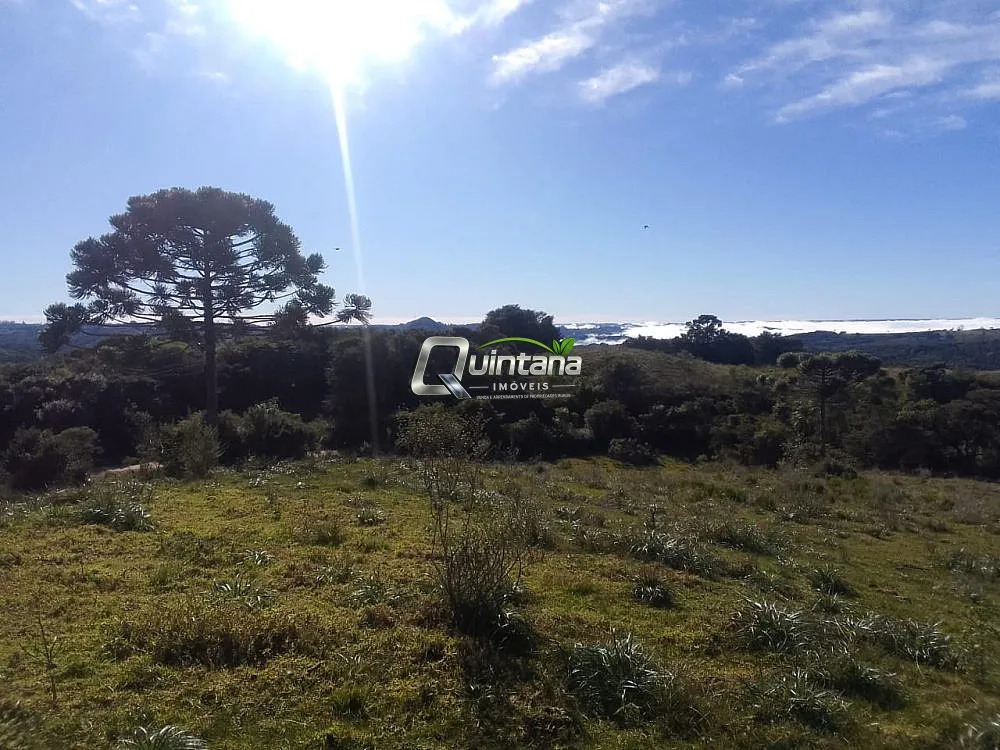 Fazenda, 41 hectares - Foto 4