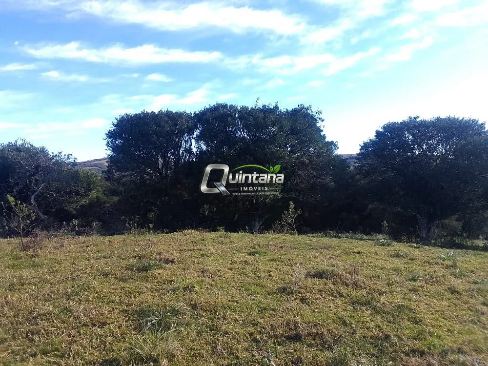 Fazenda, 41 hectares - Foto 7