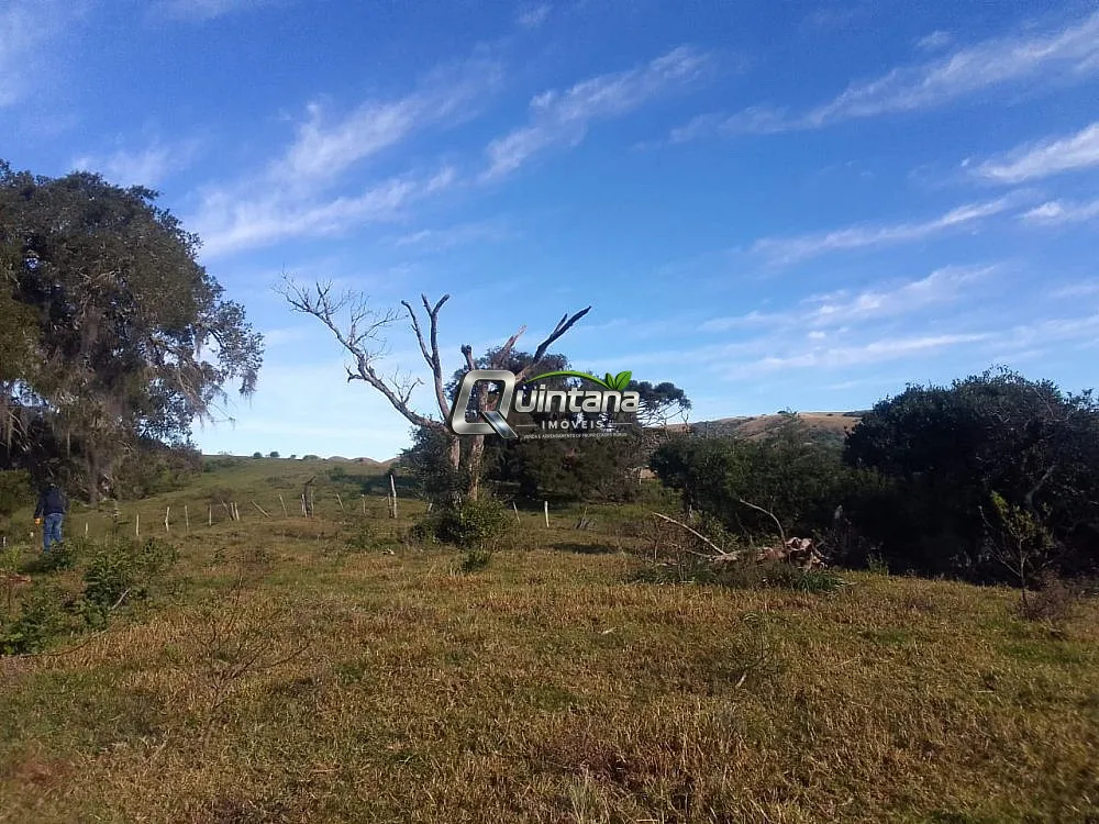 Fazenda, 41 hectares - Foto 6