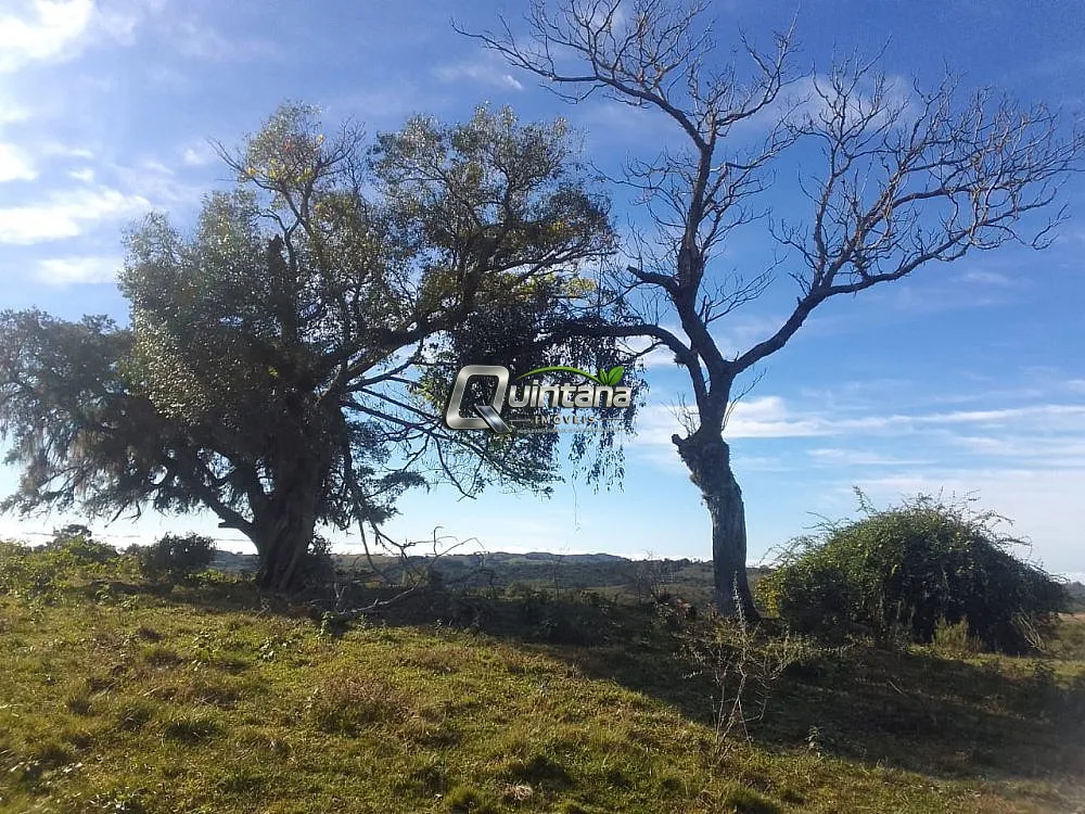 Fazenda, 41 hectares - Foto 8