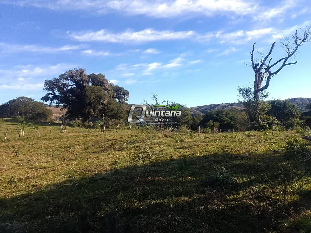 Fazenda, 41 hectares - Foto 1