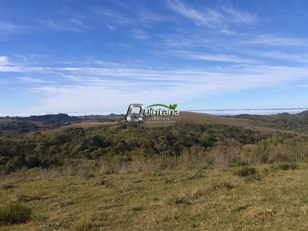 Sítio, 41 hectares - Foto 1