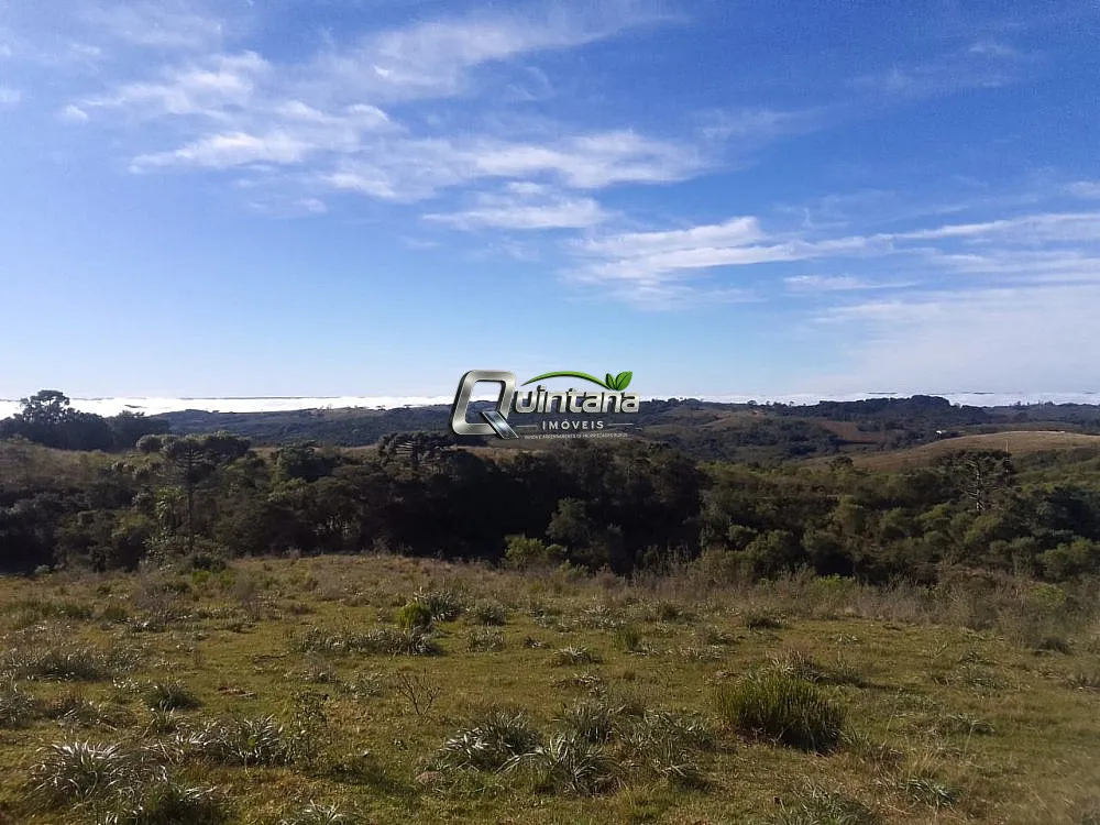 Fazenda, 41 hectares - Foto 2