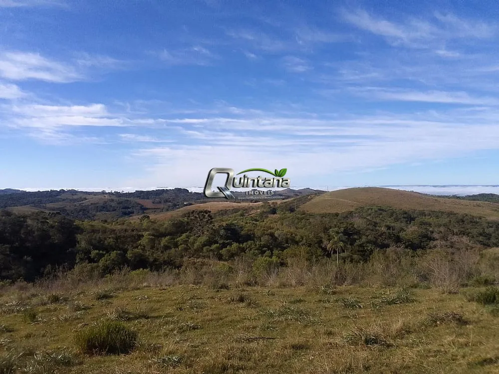 Fazenda, 41 hectares - Foto 3