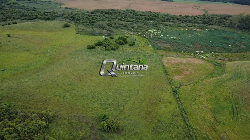 Chácara, 1 quarto, 5 hectares - Foto 4