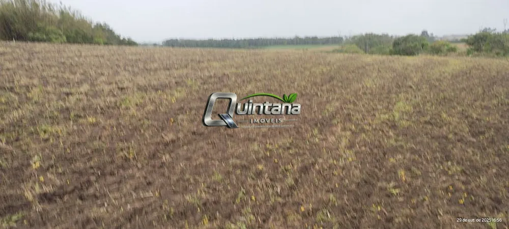 Chácara, 1 quarto, 5 hectares - Foto 3