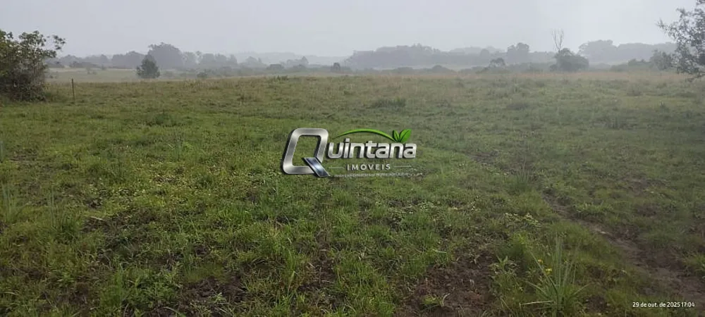 Chácara, 1 quarto, 5 hectares - Foto 2