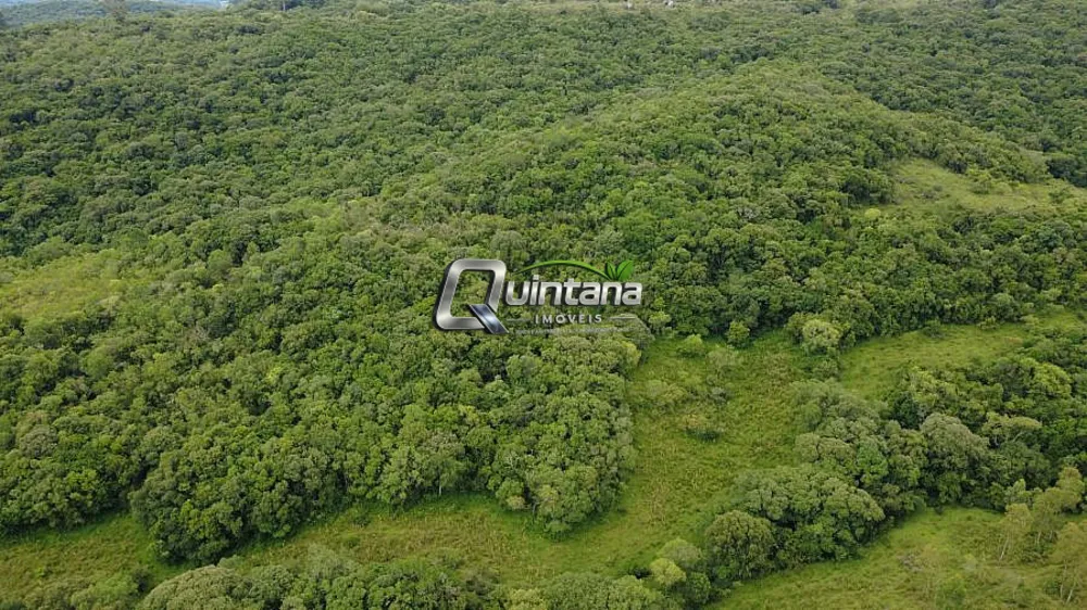 Sítio, 2 quartos, 35 hectares - Foto 3