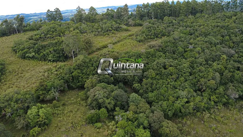 Sítio, 2 quartos, 35 hectares - Foto 4
