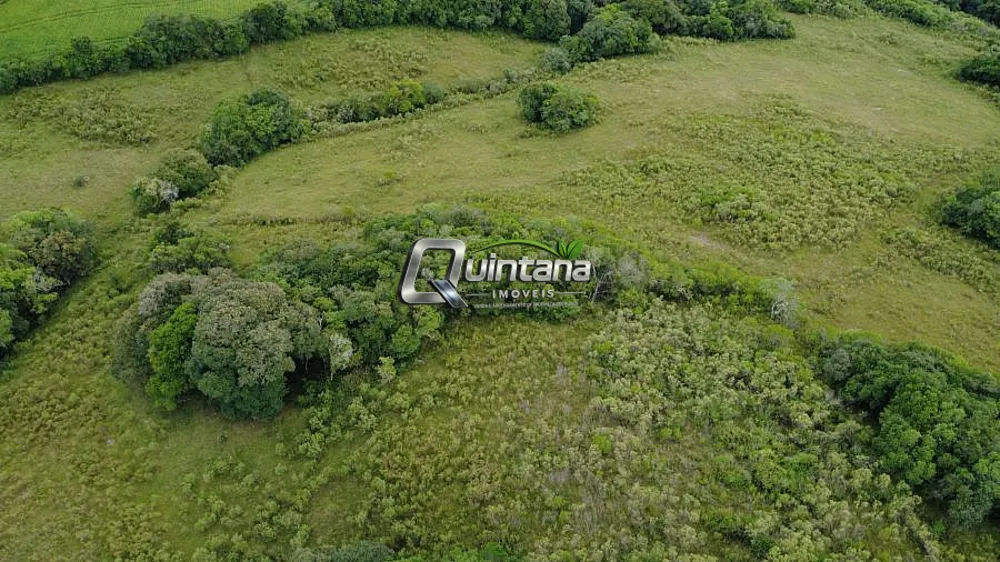 Sítio, 2 quartos, 35 hectares - Foto 1
