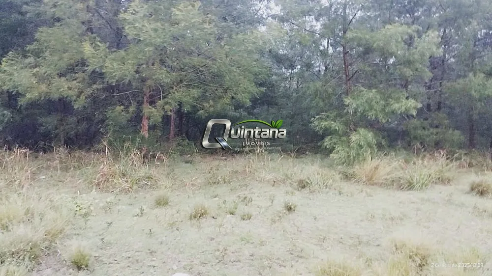 Fazenda, 830 hectares - Foto 8