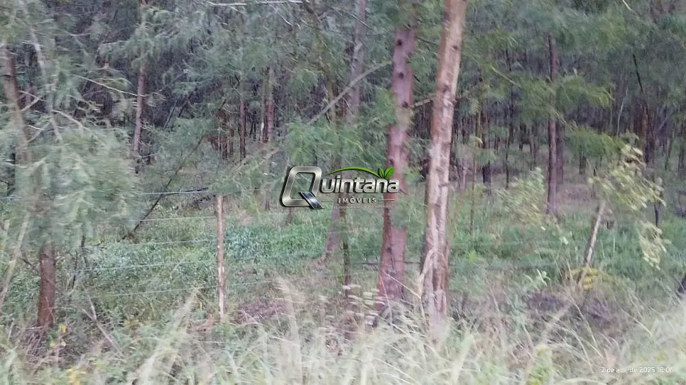 Fazenda, 830 hectares - Foto 3