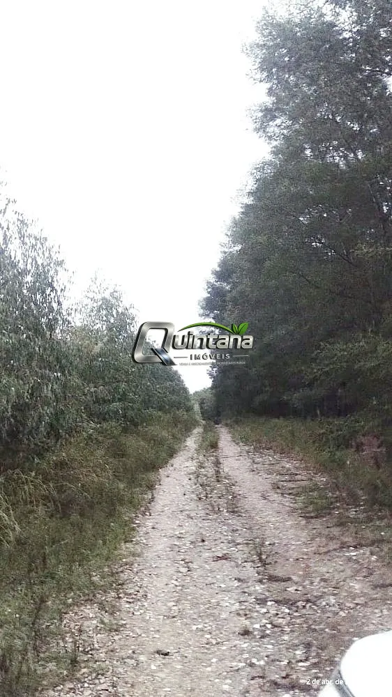 Fazenda, 830 hectares - Foto 7