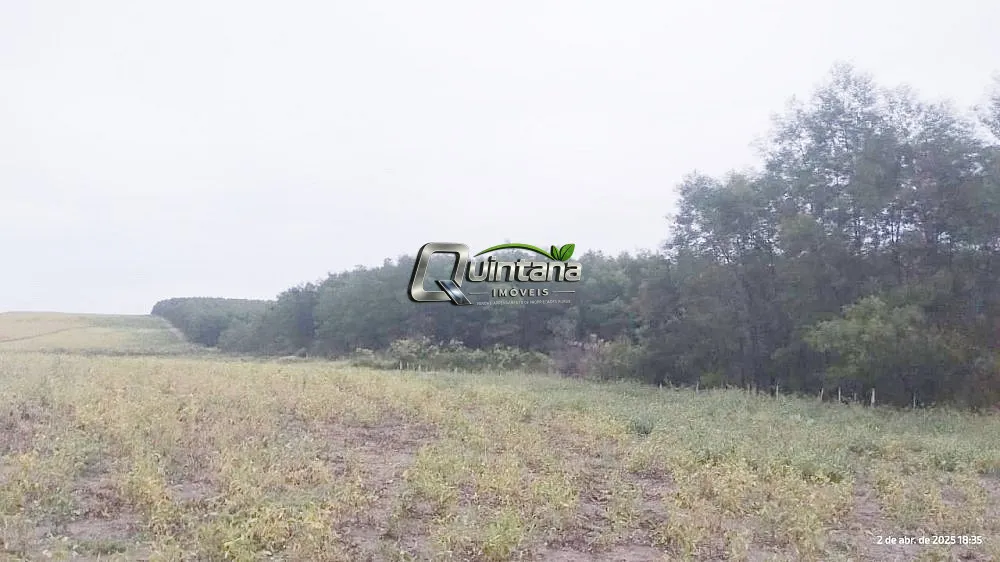 Fazenda, 830 hectares - Foto 1
