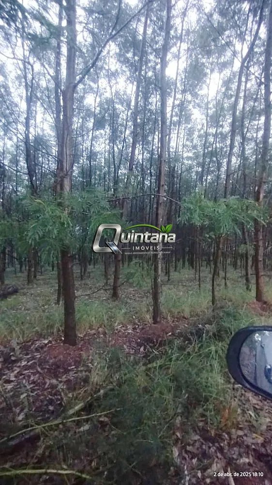 Fazenda, 830 hectares - Foto 9