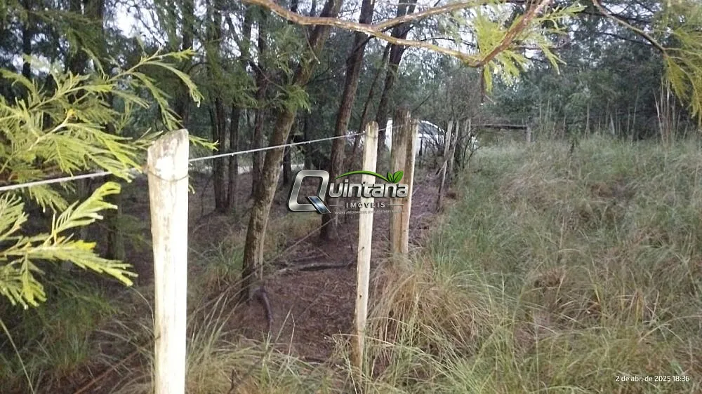 Fazenda, 830 hectares - Foto 4
