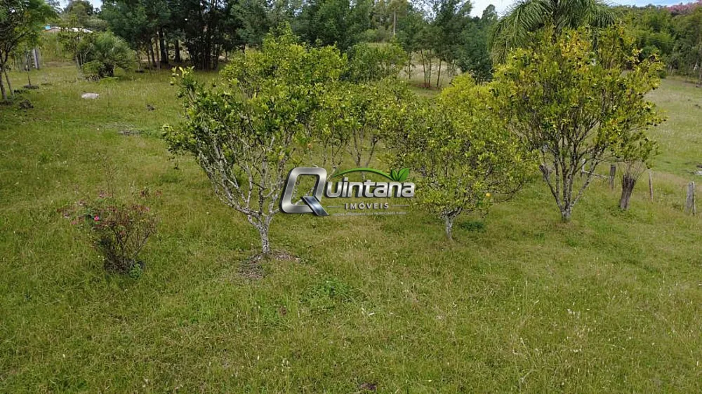 Sítio, 2 quartos, 2 hectares - Foto 3