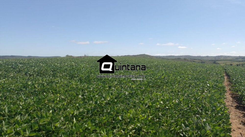 Fazenda à venda, 500000m² - Foto 2