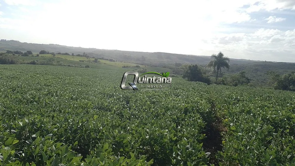 Fazenda, 50 hectares - Foto 1