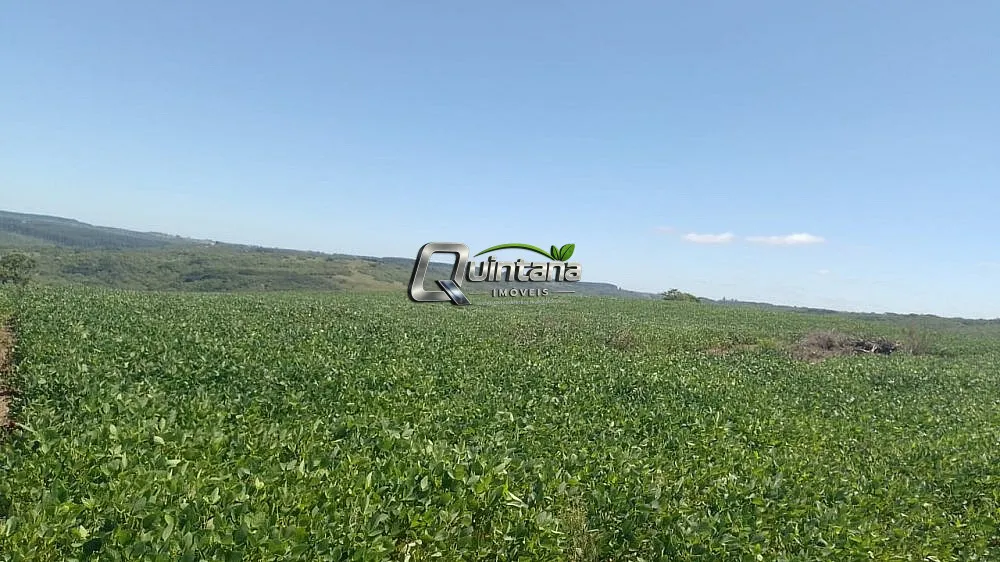 Fazenda, 50 hectares - Foto 3