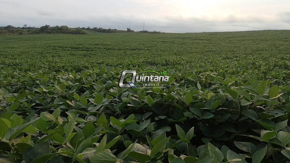 Fazenda, 50 hectares - Foto 4