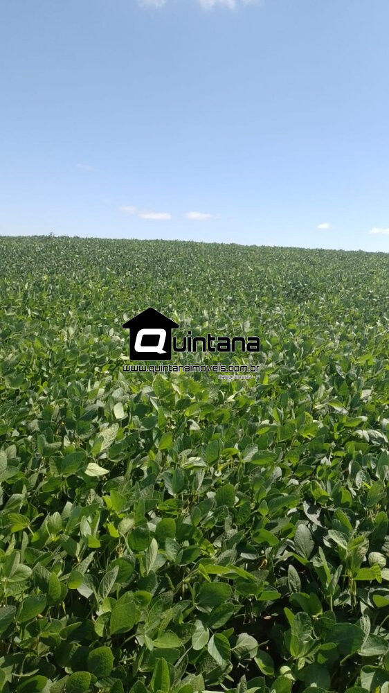 Fazenda à venda, 500000m² - Foto 3