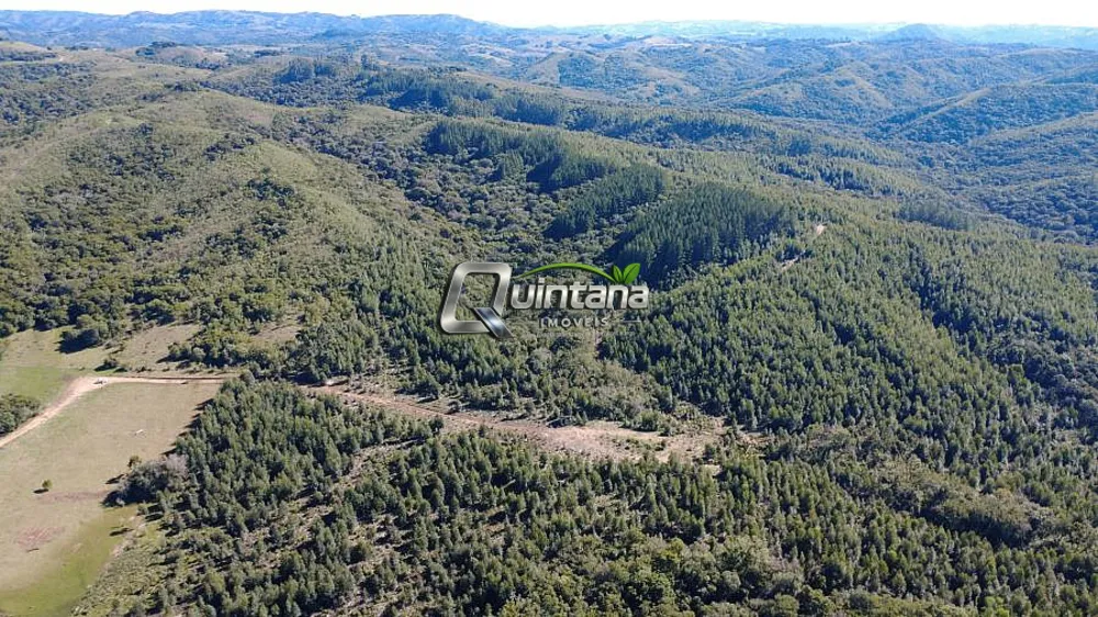 Fazenda, 83 hectares - Foto 1