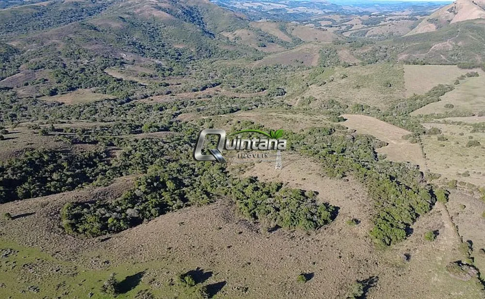Fazenda, 230 hectares - Foto 1