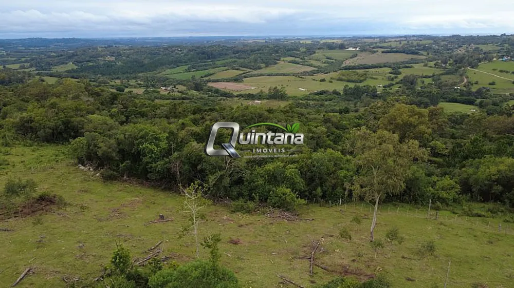 Sítio, 12 hectares - Foto 4