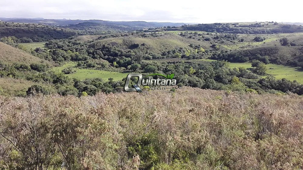 Fazenda, 165 hectares - Foto 1